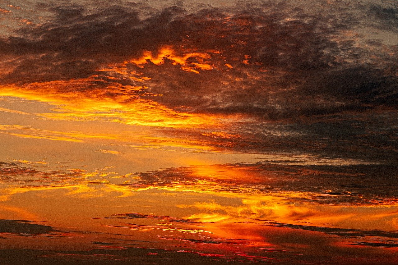 What is the Impact of Climate Change on Our Future?